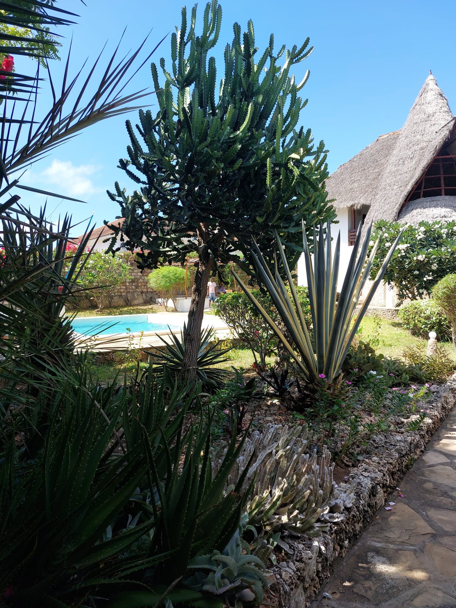 Villa Nyuki- FOR RENT